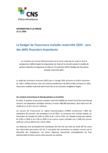 thumbnail of Budget AMM 2025_Communique