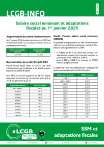 thumbnail of 2025 SSM et adaptations fiscales V4 FR