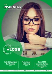 thumbnail of 2025 Faillites (DE)